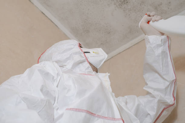 Best Emergency Mold Removal  in Cricket, NC
