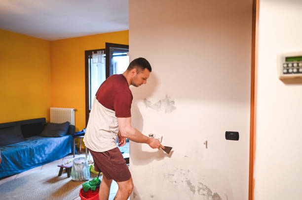 Cricket, NC Mold Removal Company