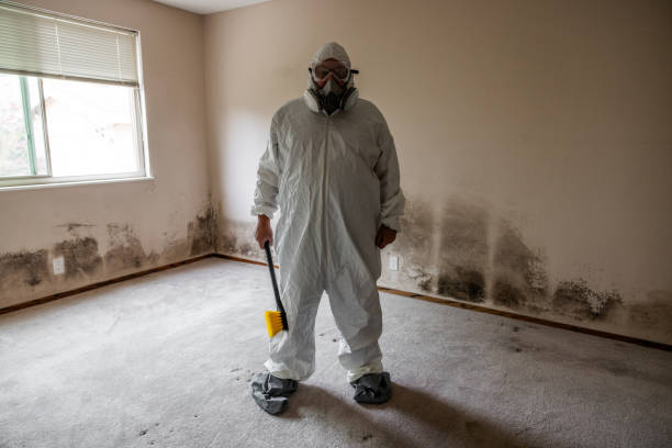 Best Home Mold Removal  in Cricket, NC